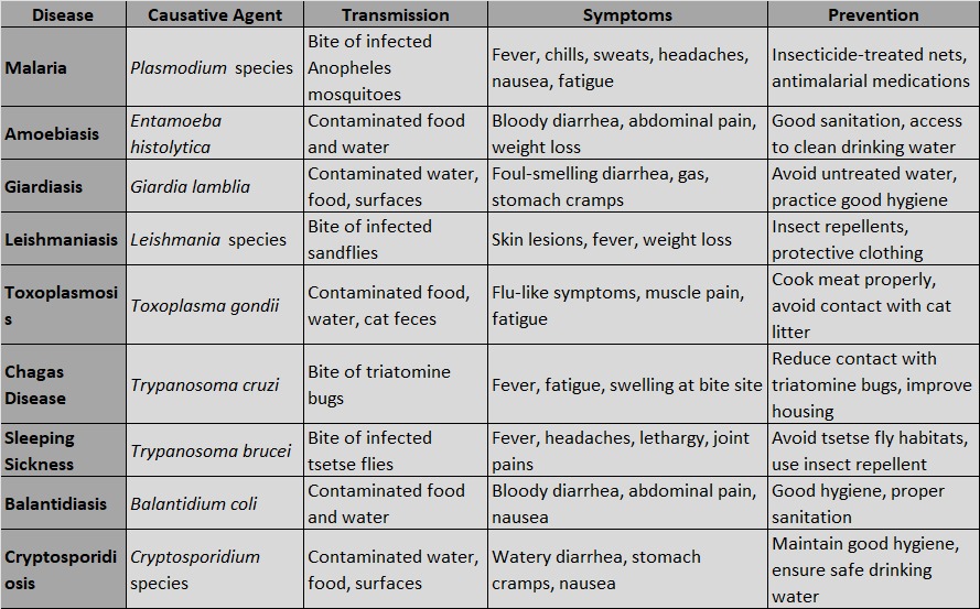 Diseases caused by protozoa